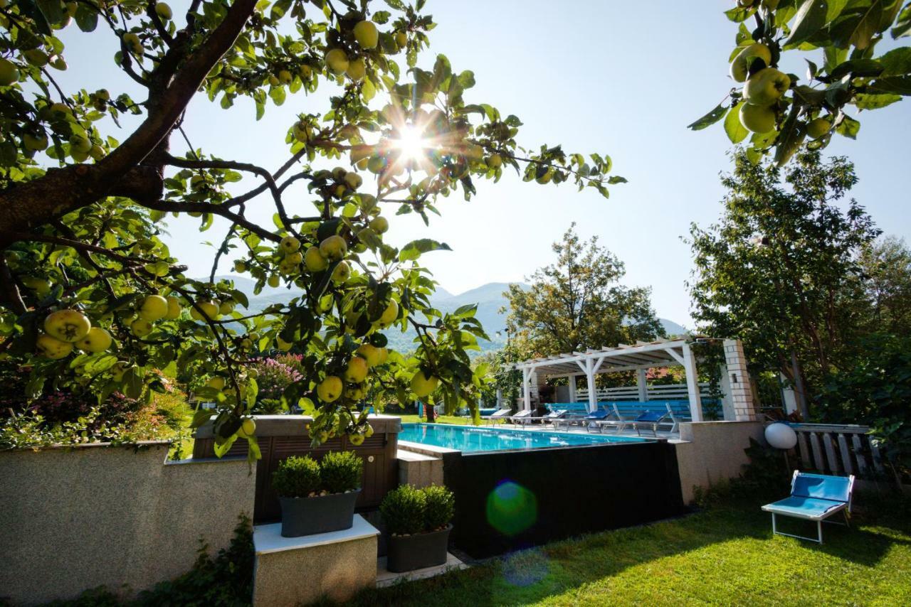 Apartmani Novakovic Kotor Exteriör bild